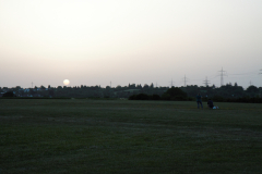 IMG_8184
